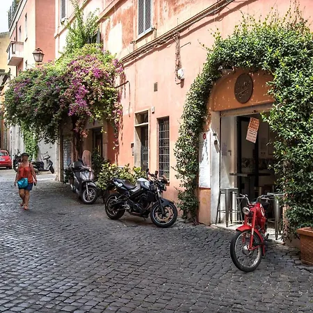 Cozy Loft @ Monti شقة *